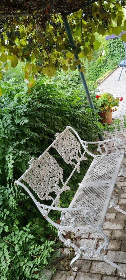 Lugas Apartman Miskolctapolca 2 Haloszoba Dezsa Es Jakuzzi Koezel A Barlangfuerdohoez מראה חיצוני תמונה